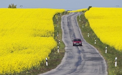 CFA活动徒步旅行