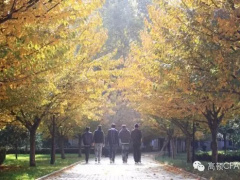 考CFA与不考CFA,对比后惊呆了!