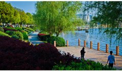 CFA与CPA、ACCA、CMA、AICPA、FRM哪个难，通过率怎么样