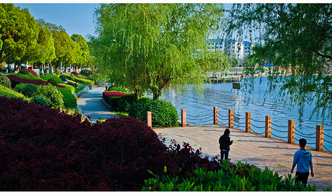 高含金量财经证书：CFA、CPA、ACCA、CMA、AICPA、FRM大揭秘