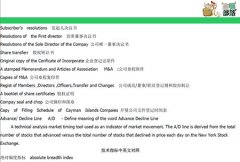 CFA一级考试词汇-个人总结PDF