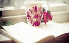 2017CFA考试公式表的正确学习方法