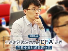 CFA权益投资是什么意思？
